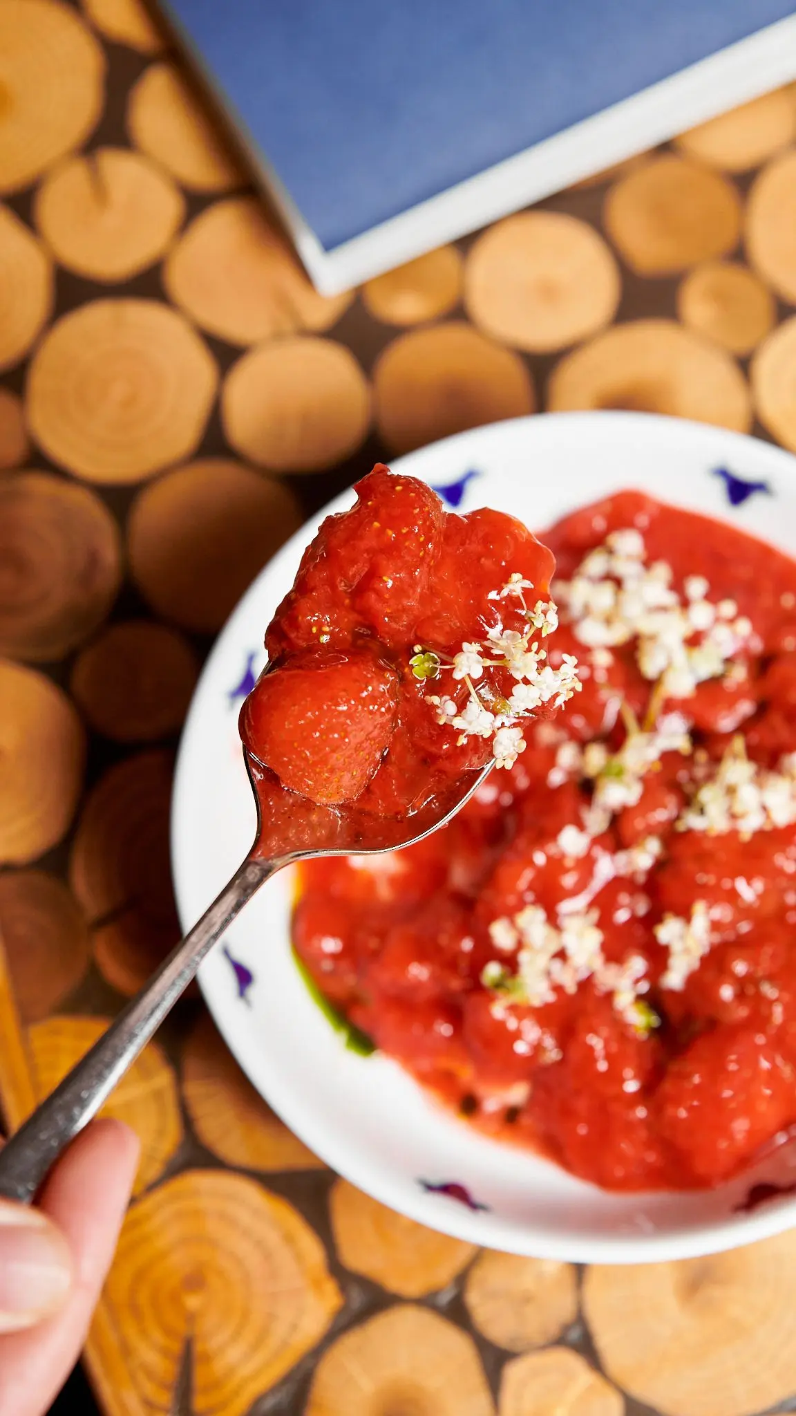 Strawberry dish with herbs, plated detail at Čestr restaurant.
